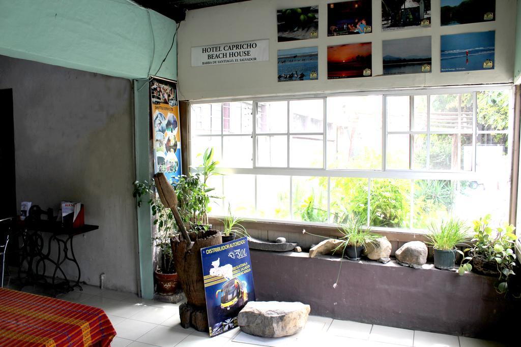 Ximenas Guest House San Salvador Exterior photo