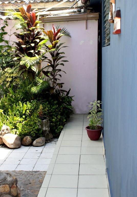 Ximenas Guest House San Salvador Exterior photo