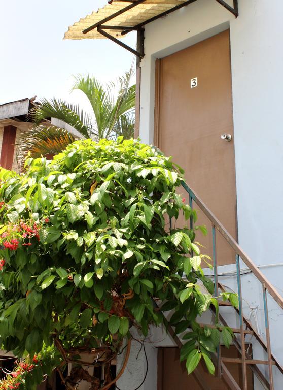 Ximenas Guest House San Salvador Exterior photo
